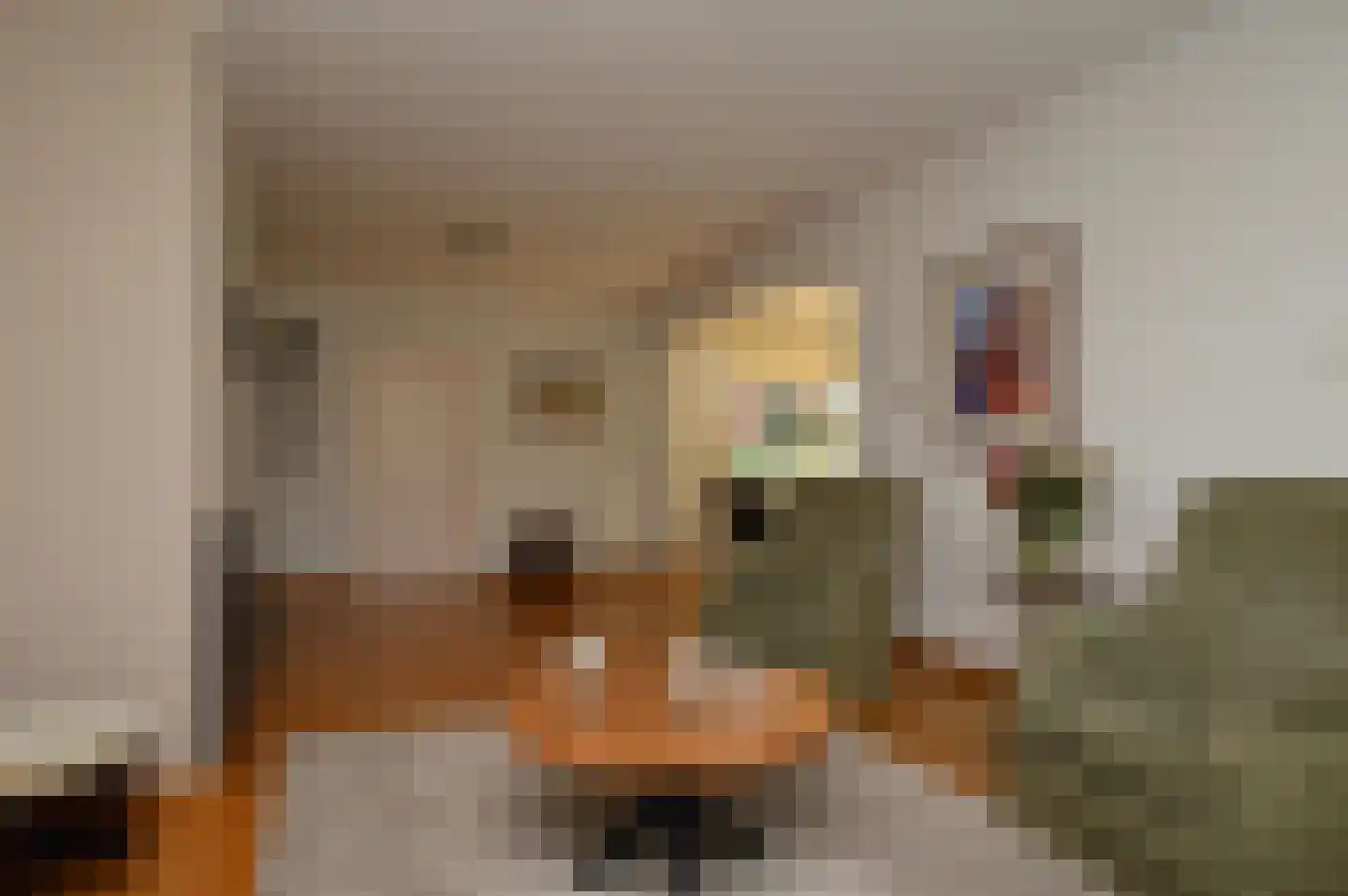 Langstraat 56 Deurne thumbnail 8