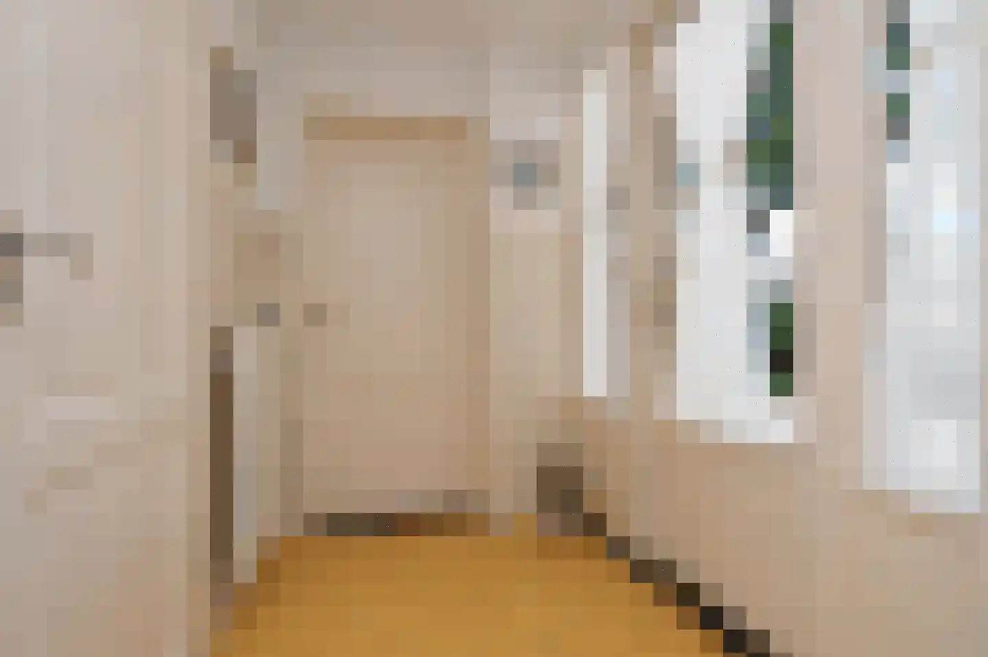 Langstraat 56 Deurne thumbnail 9