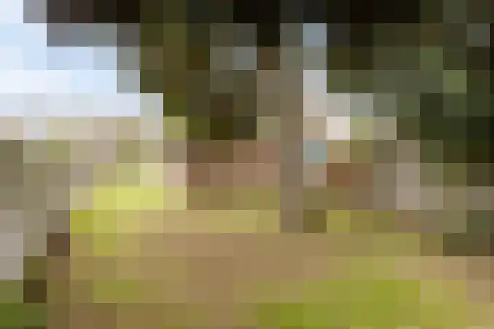 Langstraat 56 Venray thumbnail 32