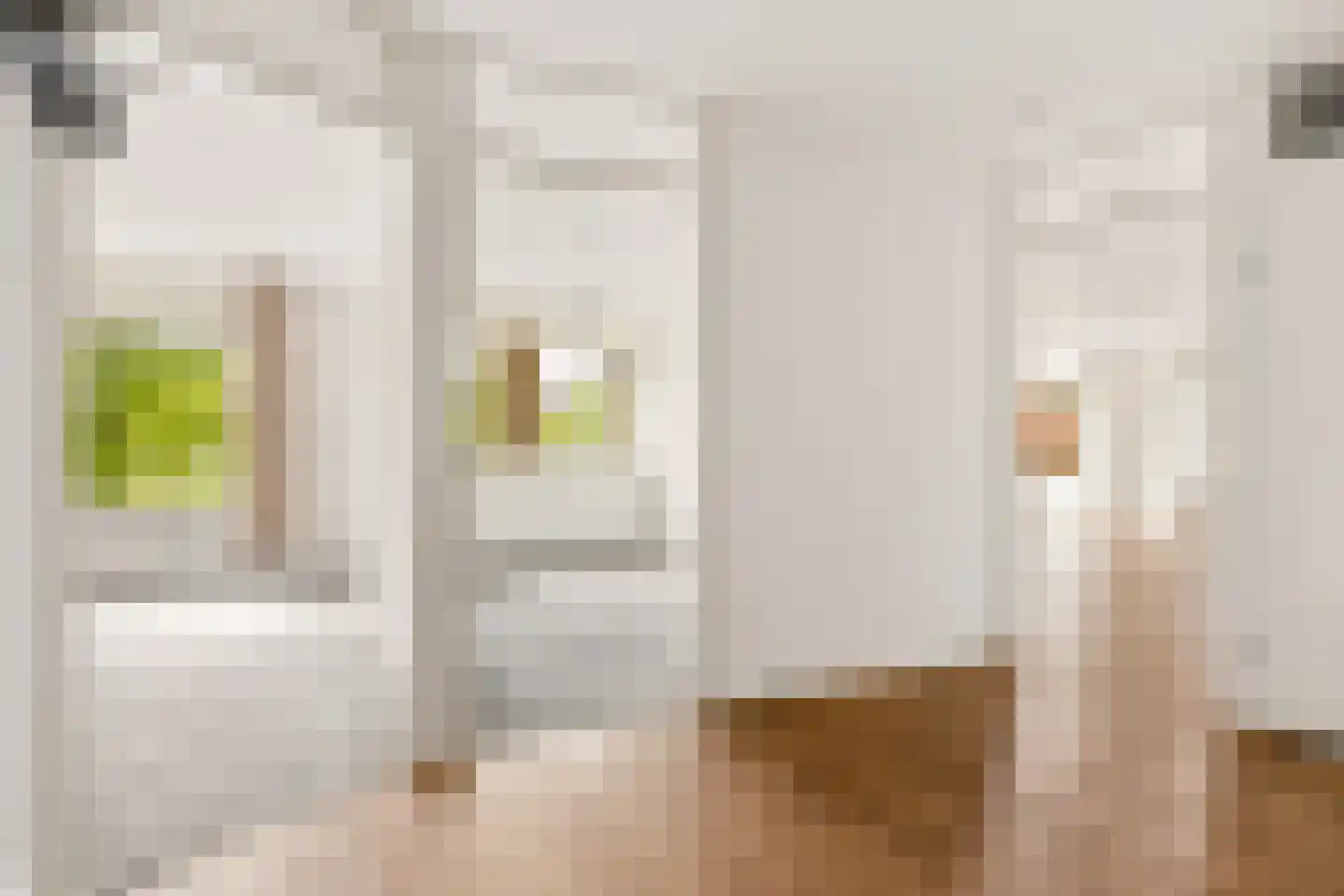 Langstraat 6 d Bunnik thumbnail 12