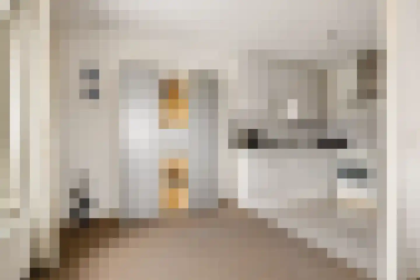 Langstraat 6 k Bunnik thumbnail 28