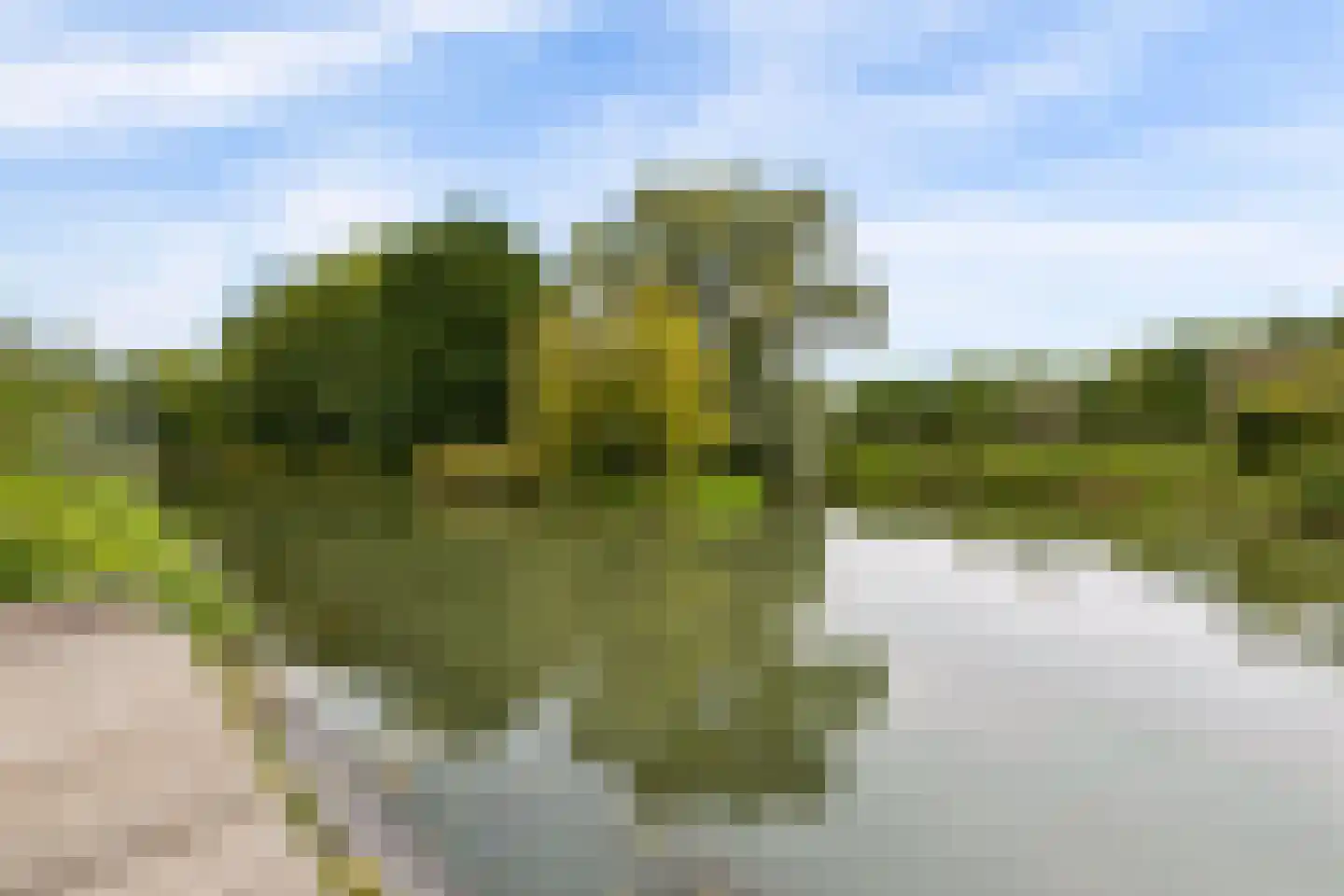 Langstraat 6 k Bunnik thumbnail 43