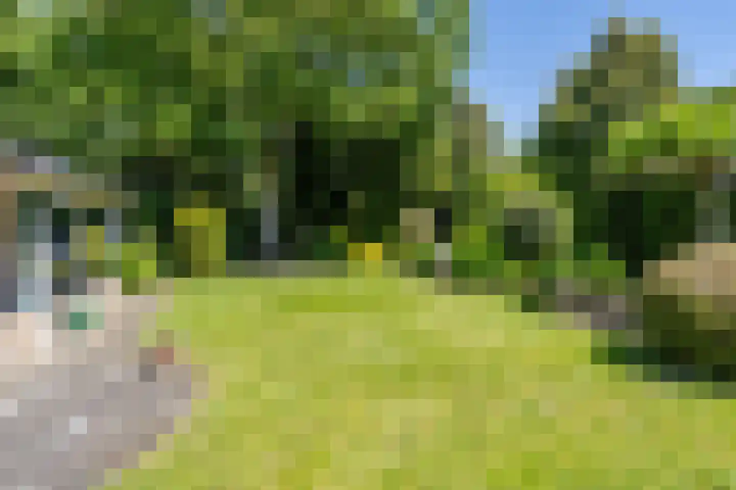 Langstraat 60 Milsbeek thumbnail 35