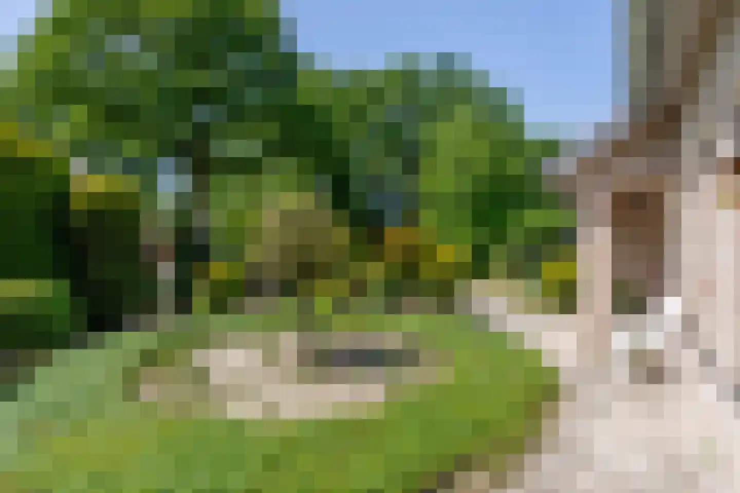 Langstraat 60 Milsbeek thumbnail 39