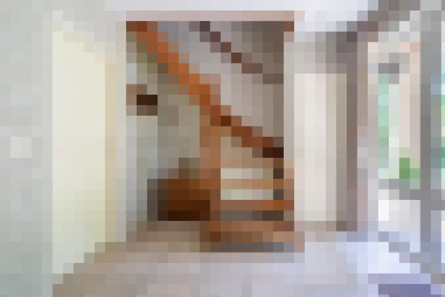 Langstraat 60 Milsbeek thumbnail 6