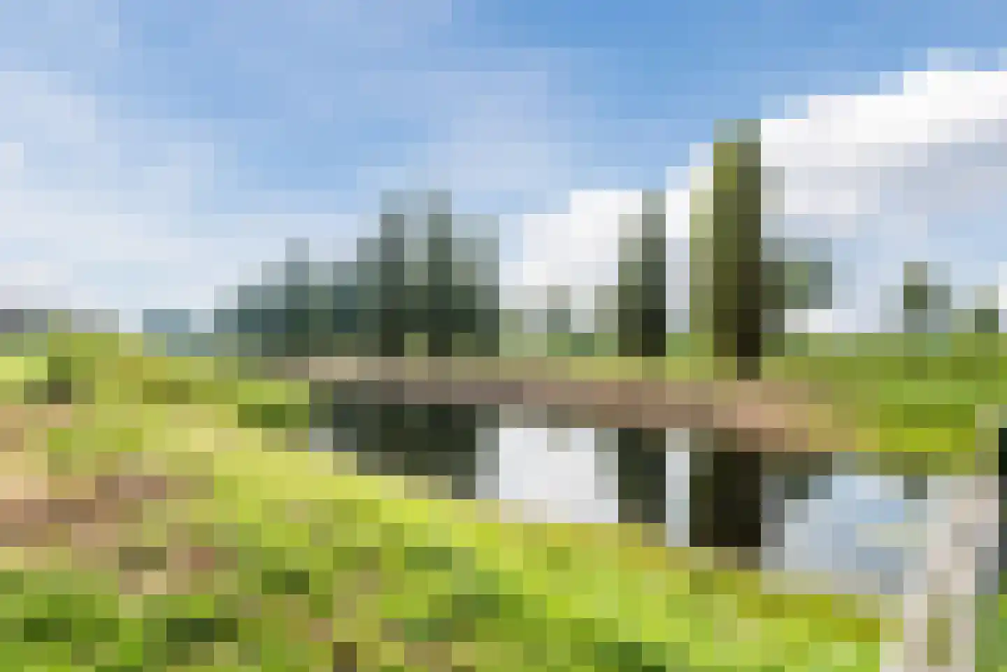 Langstraat 61 Lelystad thumbnail 37