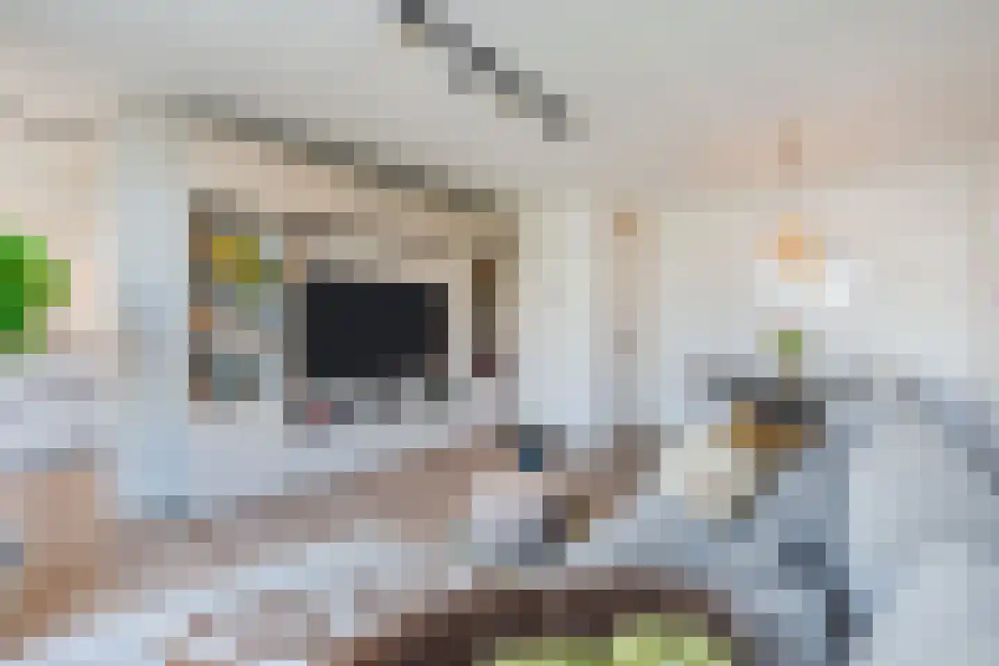 Langstraat 63 Geldrop thumbnail 18