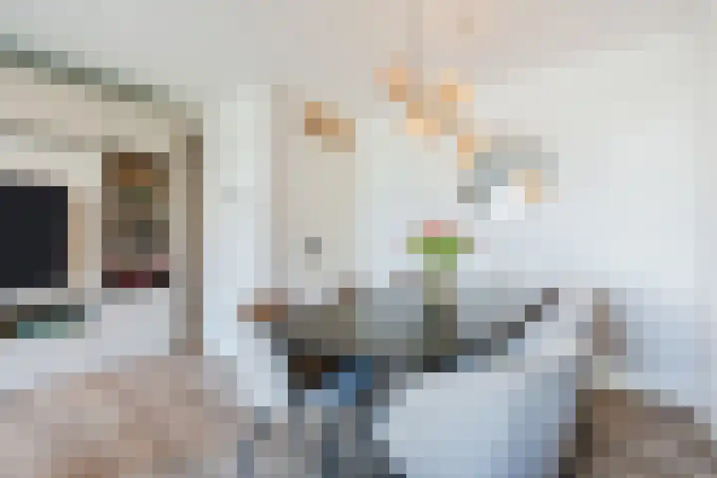 Langstraat 63 Geldrop thumbnail 20
