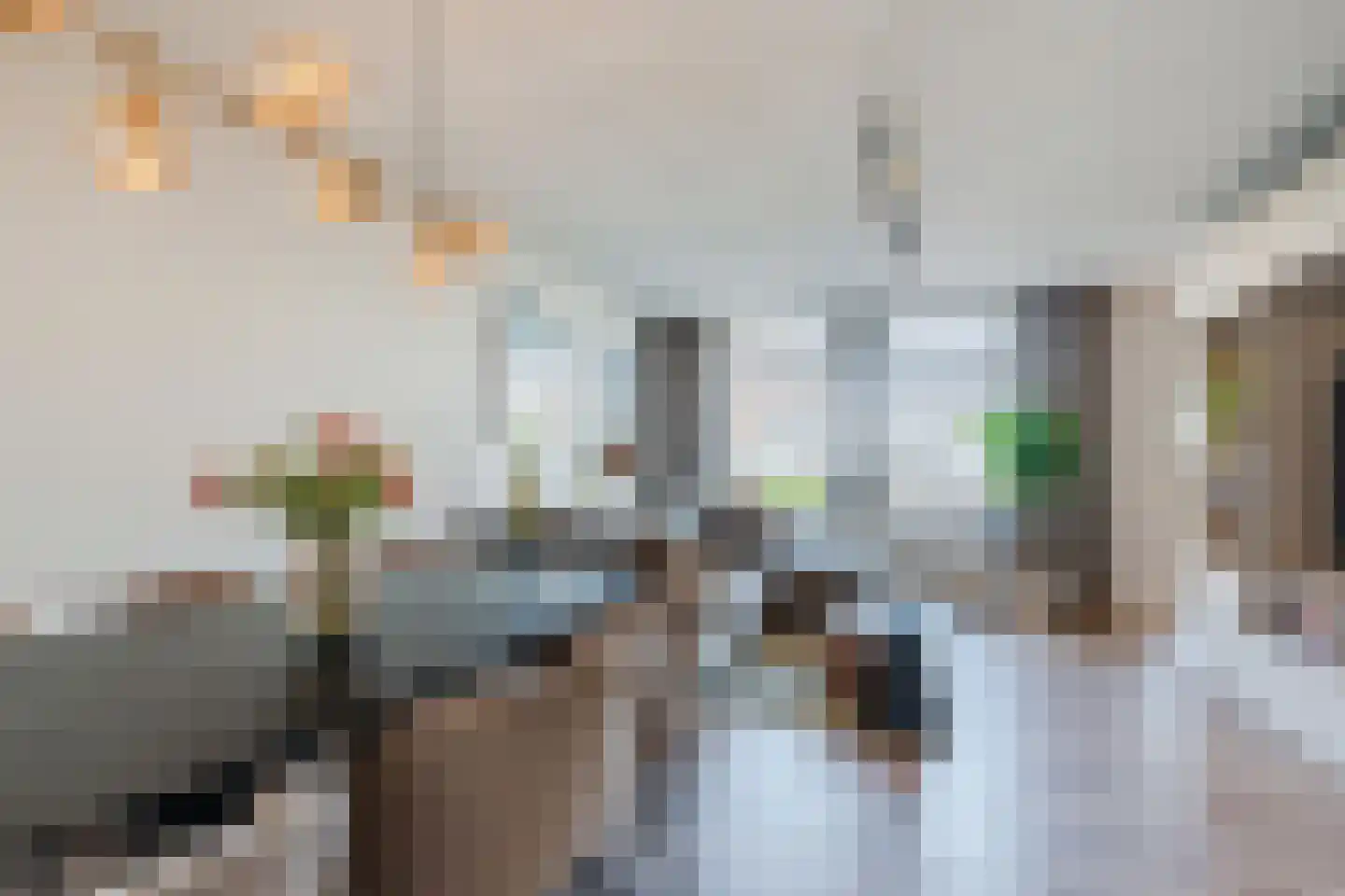 Langstraat 63 Geldrop thumbnail 22