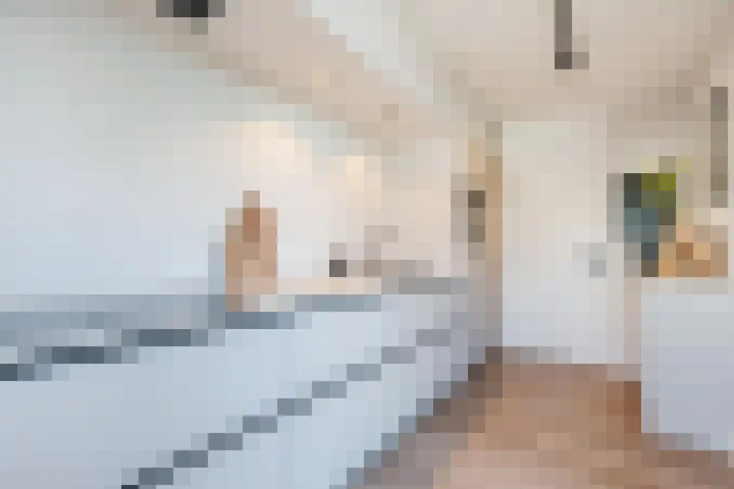 Langstraat 63 Geldrop thumbnail 28