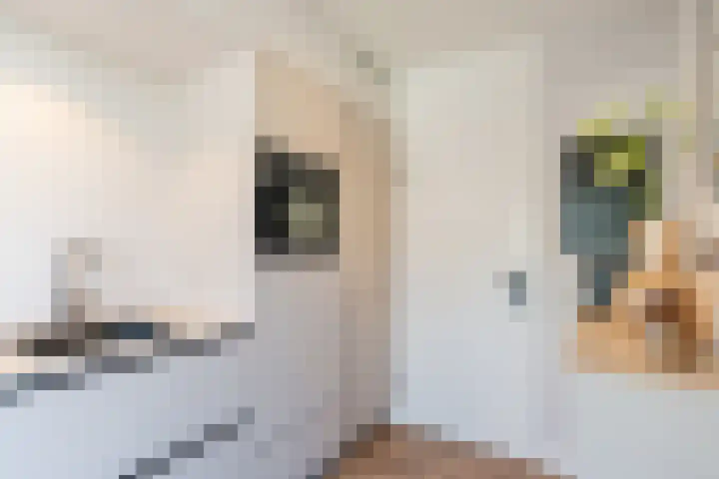 Langstraat 63 Geldrop thumbnail 29