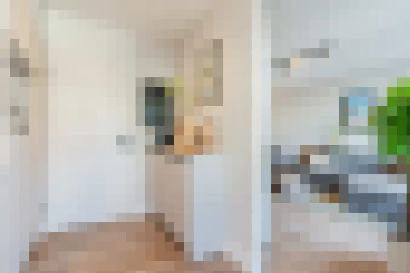 Langstraat 63 Geldrop thumbnail 32