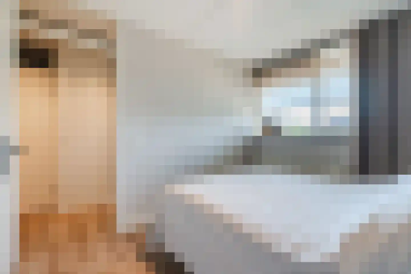 Langstraat 63 Geldrop thumbnail 36