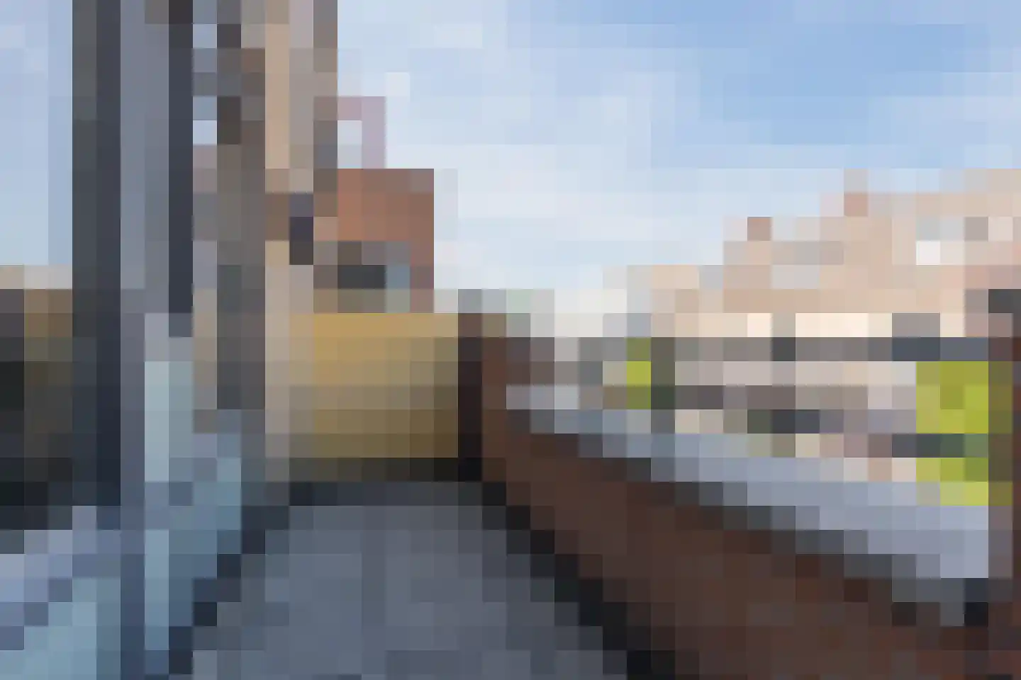 Langstraat 63 Geldrop thumbnail 43