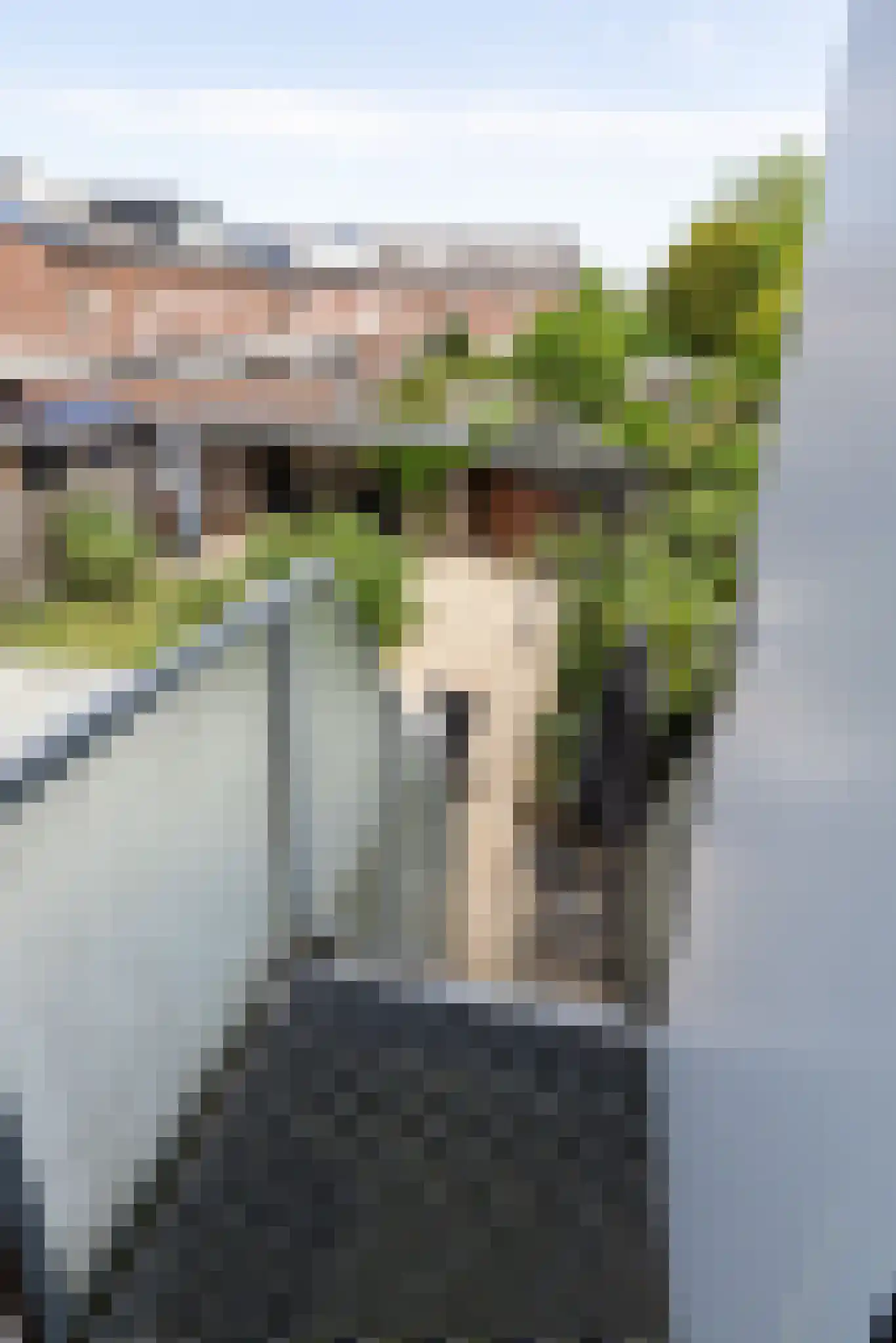 Langstraat 64 Lelystad thumbnail 18