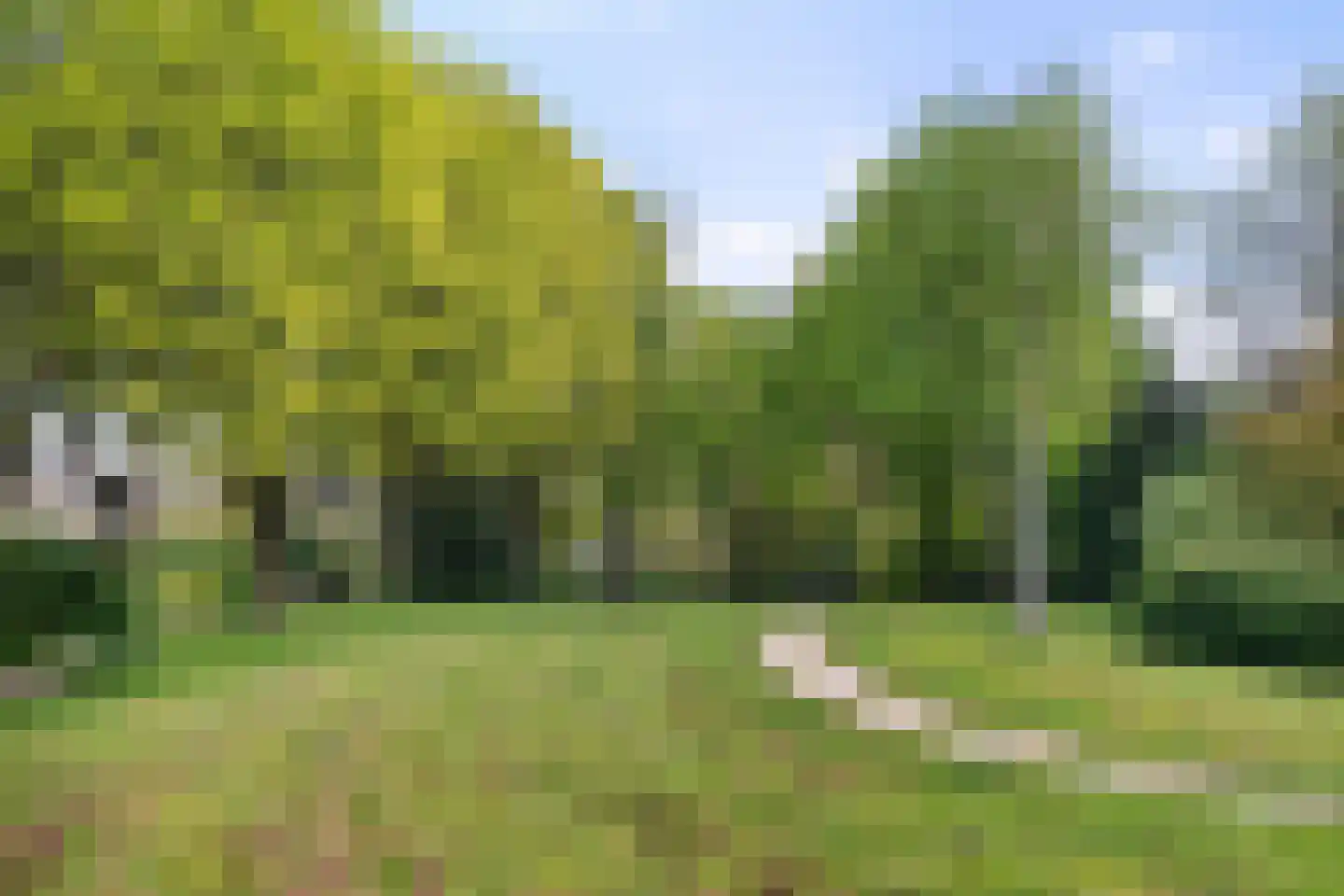 Langstraat 66 Dronten thumbnail 55