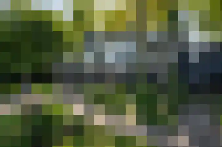 Langstraat 68 Achthuizen thumbnail 59