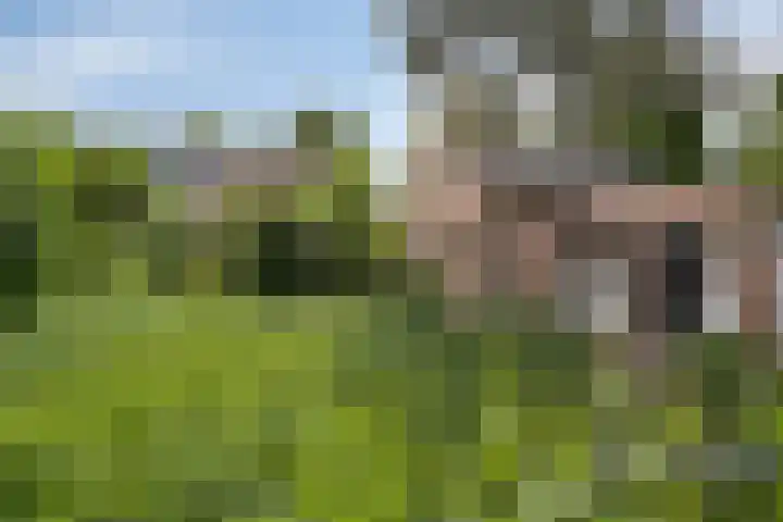 Langstraat 73 Milsbeek thumbnail 37