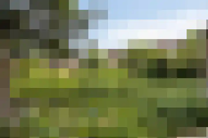 Langstraat 73 Milsbeek thumbnail 38