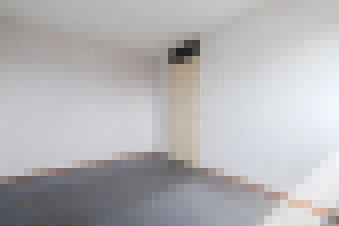 Langstraat 75 Geldrop thumbnail 15