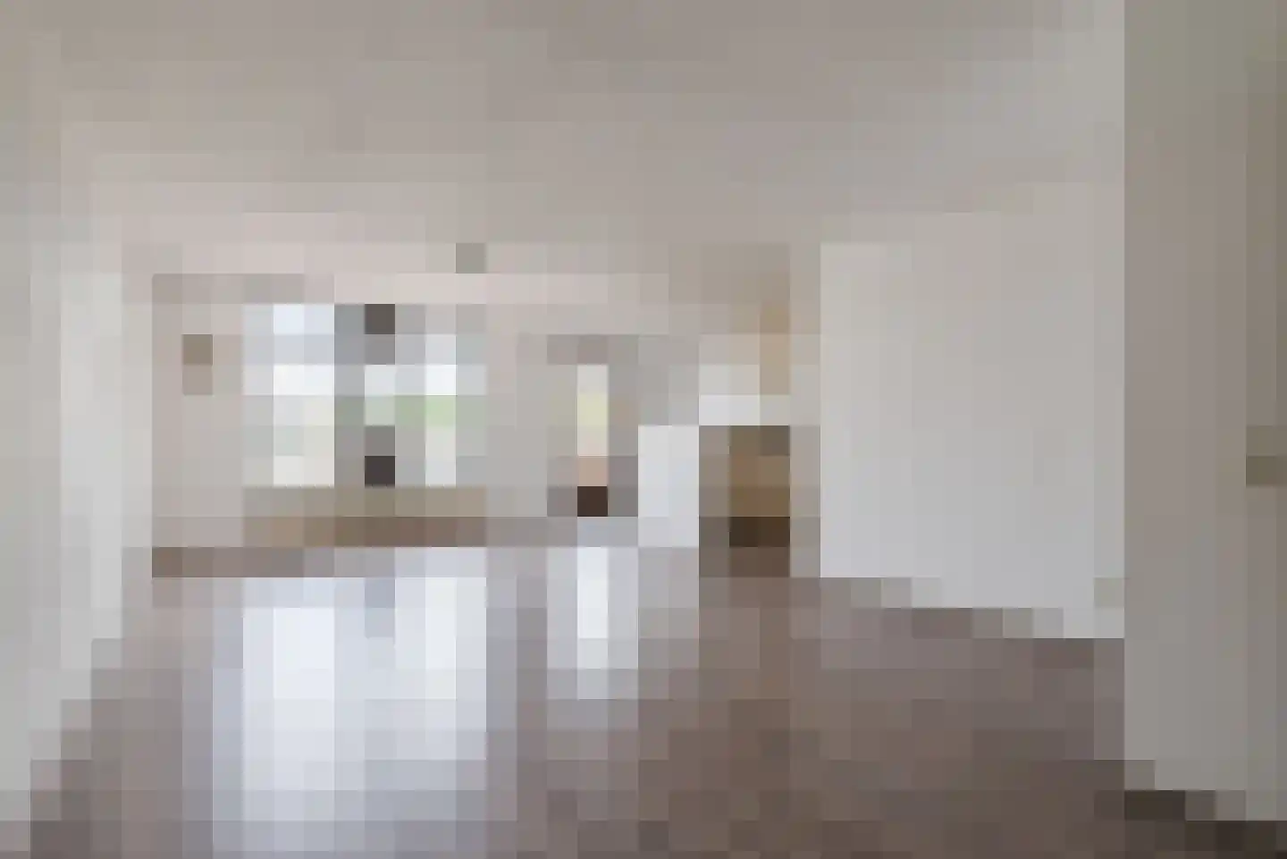 Langstraat 75 Geldrop thumbnail 4