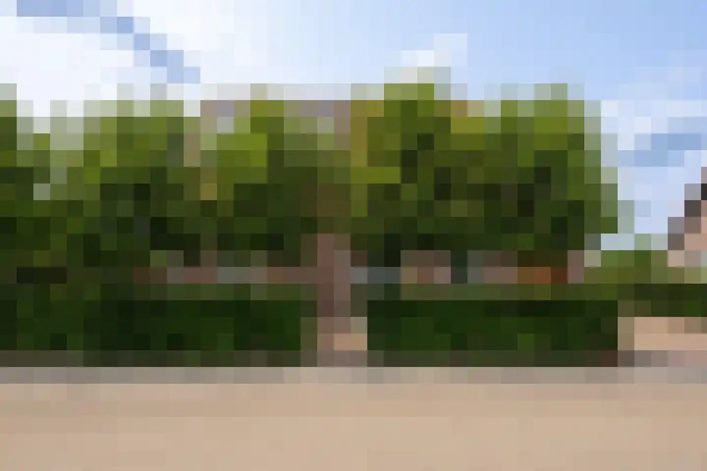 Langstraat 8 b Achthuizen thumbnail 24