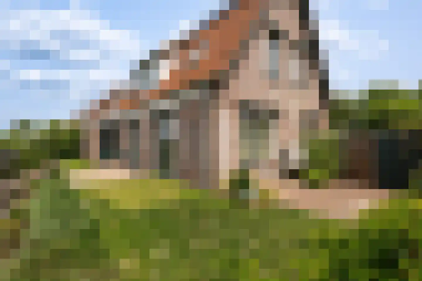Langstraat 8 b Achthuizen thumbnail 32