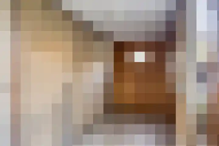Langstraat 80 Dronten thumbnail 17