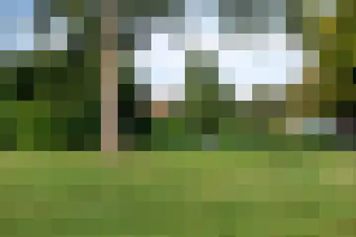 Langstraat 80 Dronten thumbnail 39
