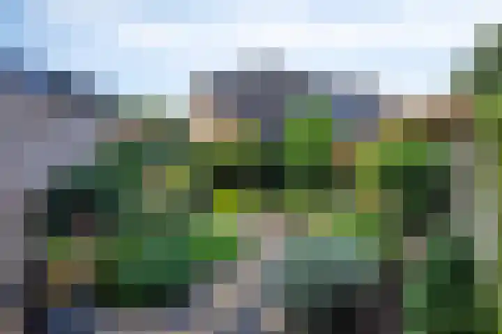 Langstraat 80 Dronten thumbnail 4