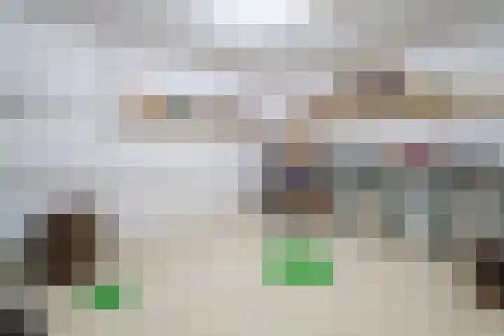 Langstraat 80 Milsbeek thumbnail 35