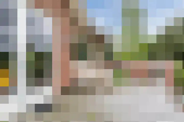 Langstraat 80 Milsbeek thumbnail 38