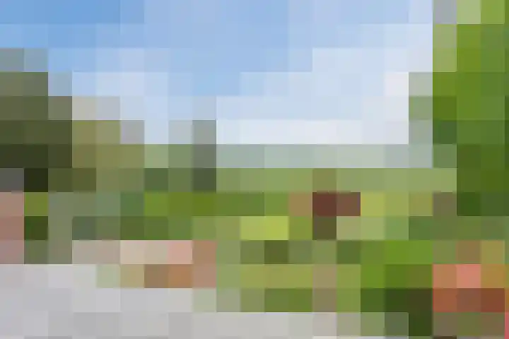 Langstraat 80 Milsbeek thumbnail 4