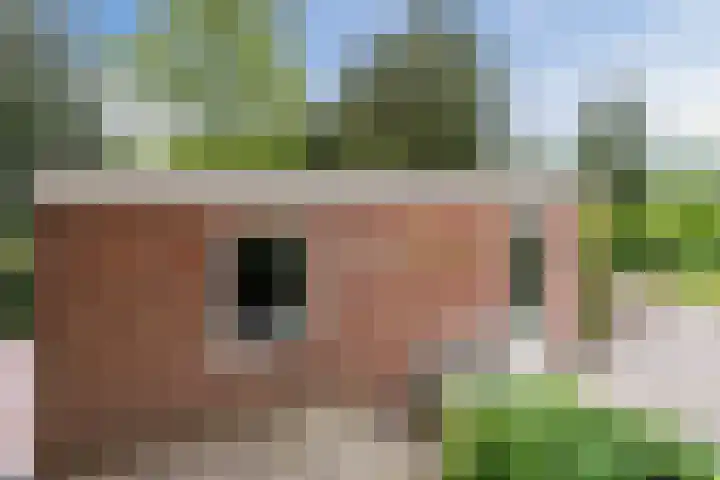 Langstraat 80 Milsbeek thumbnail 40