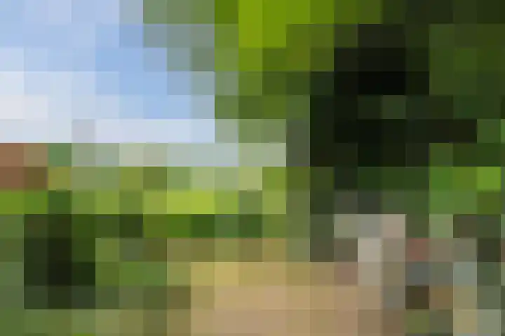 Langstraat 80 Milsbeek thumbnail 50