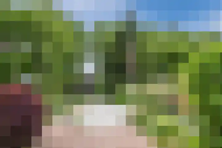 Langstraat 80 Milsbeek thumbnail 7