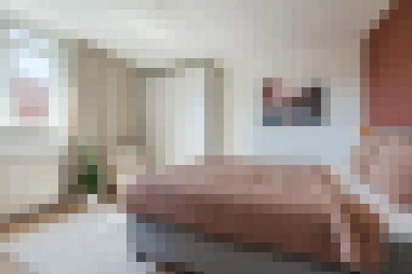 Langstraat 87 Geldrop thumbnail 31