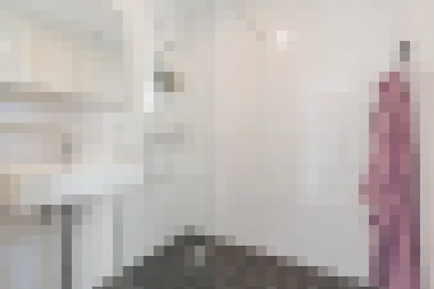 Langstraat 87 Geldrop thumbnail 36