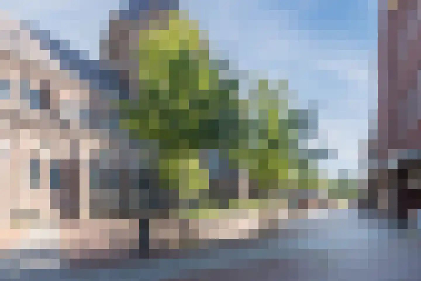 Langstraat 87 Geldrop thumbnail 41