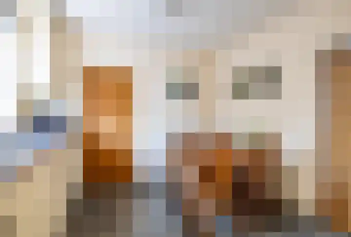 Langstraat 9 Blitterswijck thumbnail 15