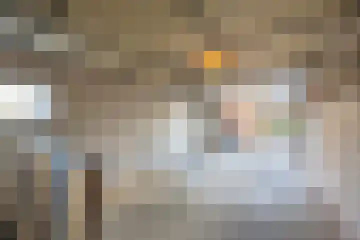 Langstraat 9 Blitterswijck thumbnail 35