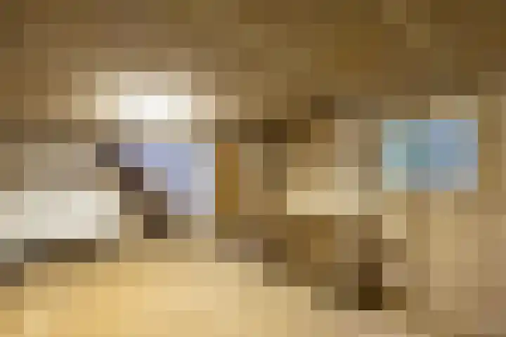 Langstraat 9 Blitterswijck thumbnail 36