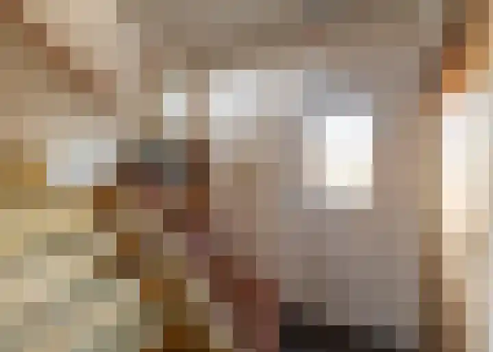 Langstraat 9 Blitterswijck thumbnail 6