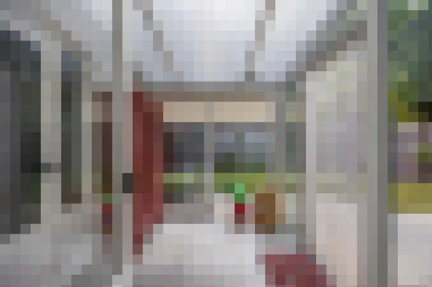 Langstraat 91 Venray thumbnail 19