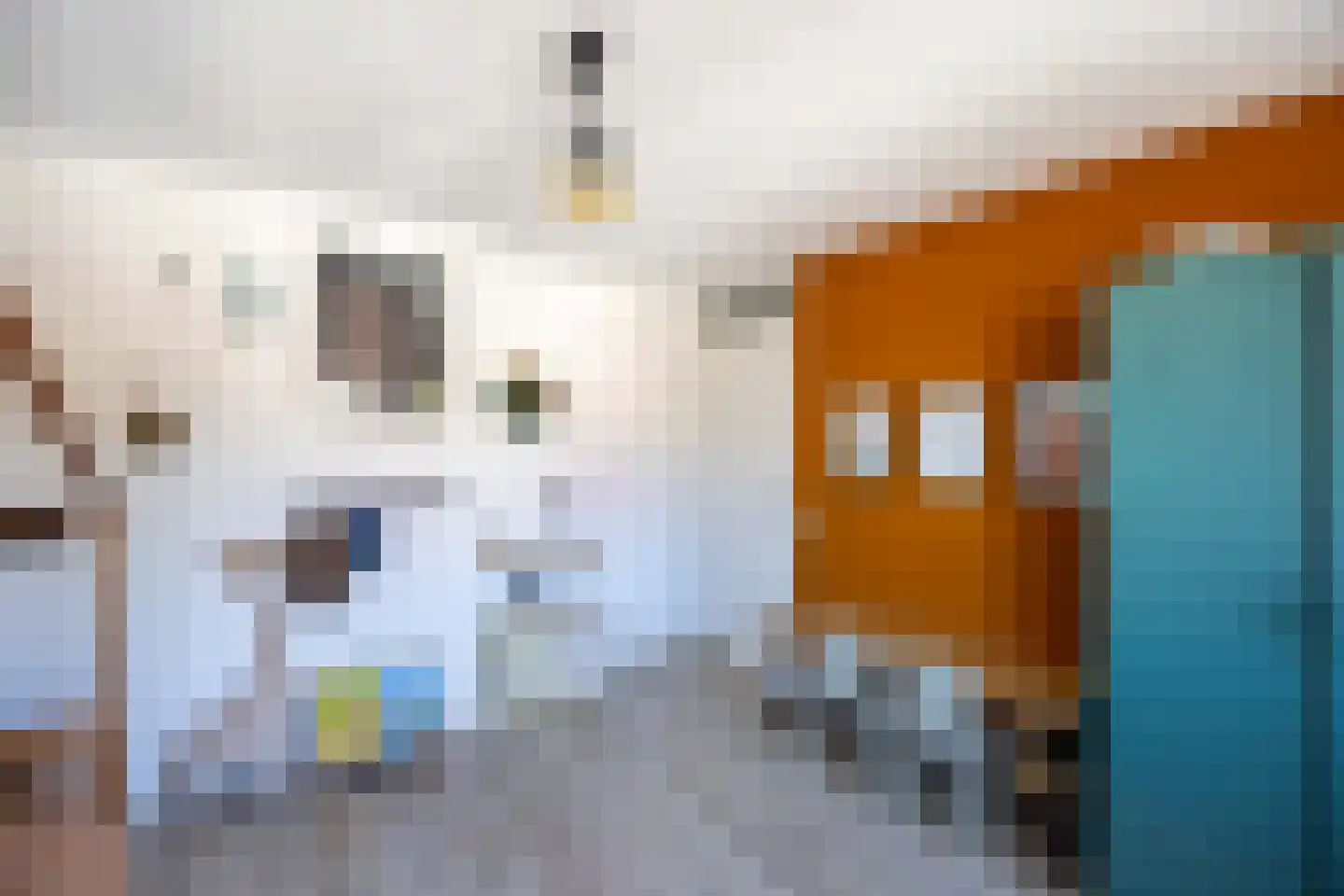 Langstraat 91 Venray thumbnail 27
