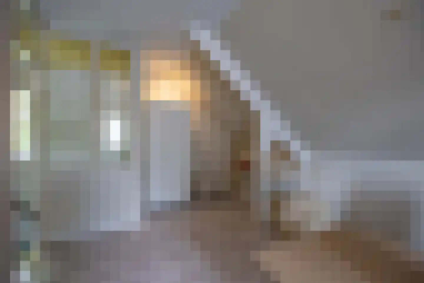 Langstraat 91 Venray thumbnail 36