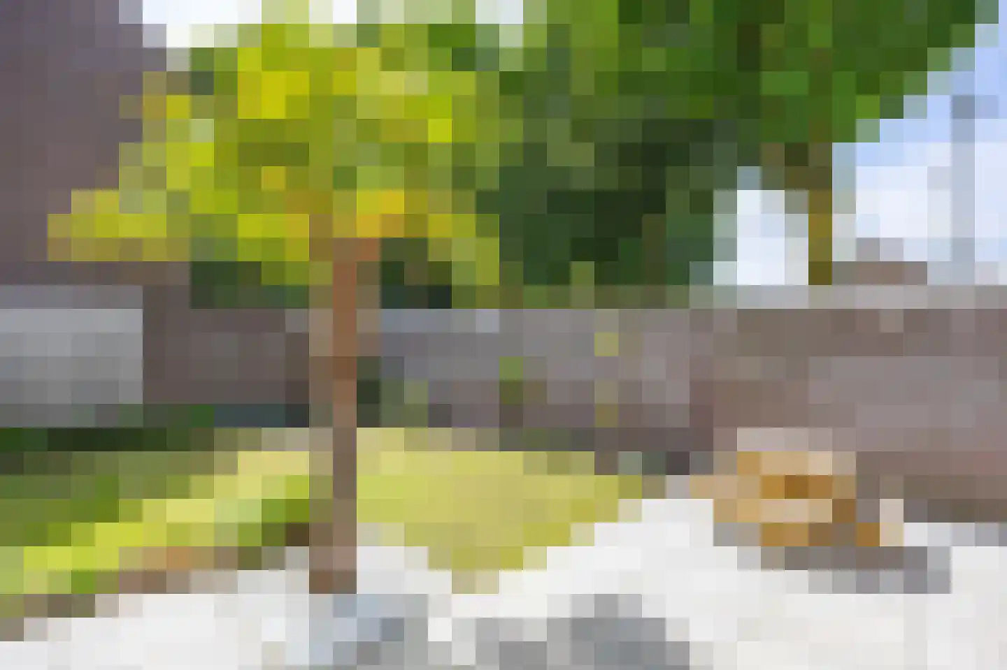 Langstraat 91 Venray thumbnail 38