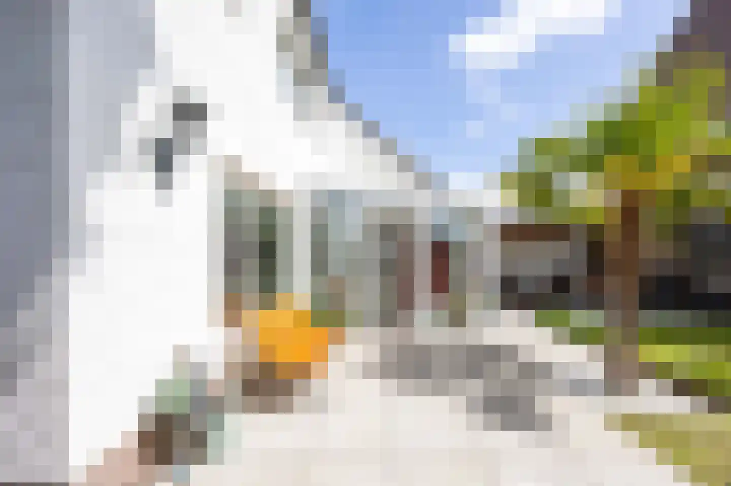 Langstraat 91 Venray thumbnail 42