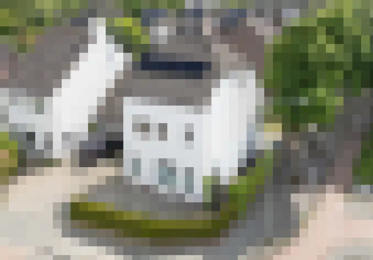 Langstraat 91 Venray thumbnail 47
