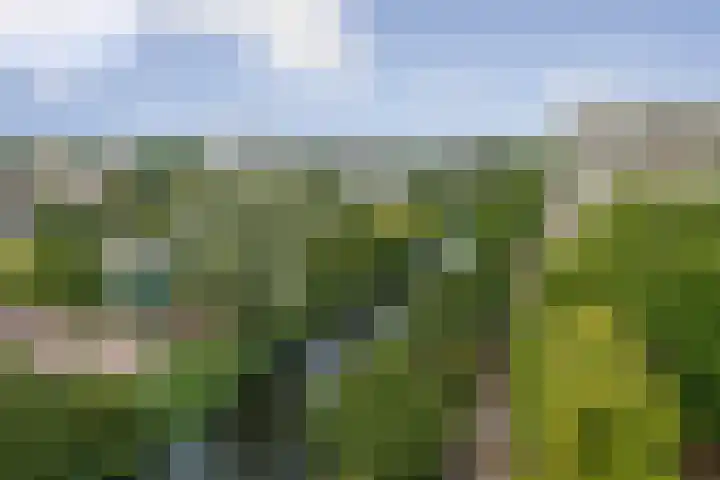 Langswater 101 Amsterdam thumbnail 23
